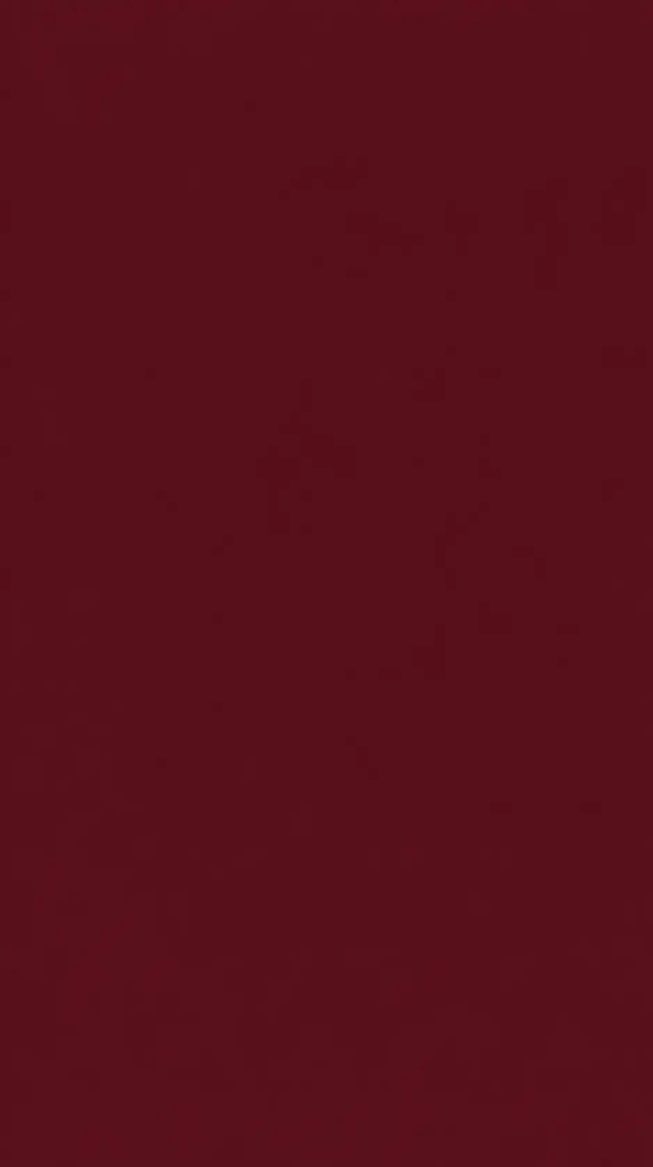 Banner de busca